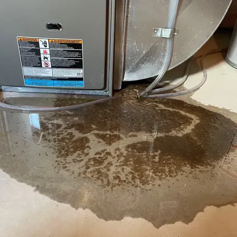 Appliance Leak Cleanup in Opportunity, WA